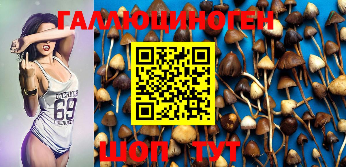 Псилоцибиновые грибы MAGIC MUSHROOMS Советская Гавань