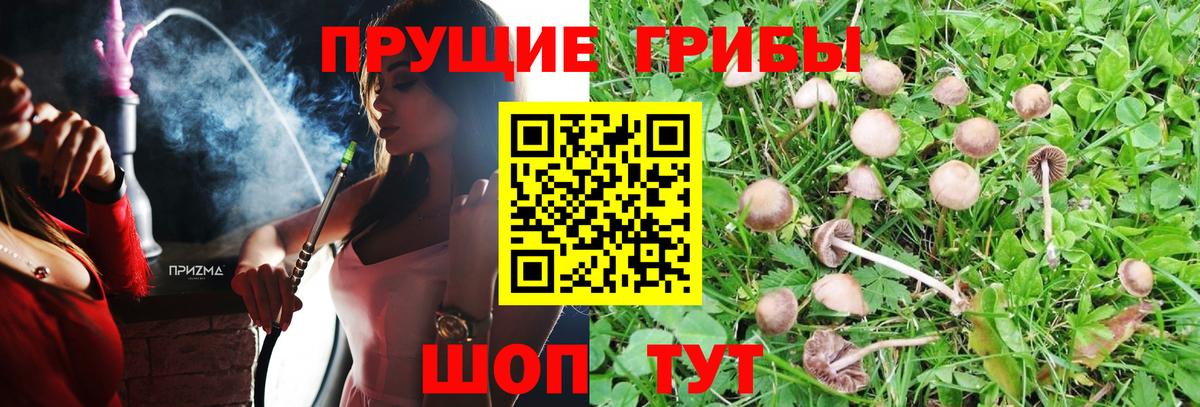 Псилоцибиновые грибы MAGIC MUSHROOMS  Вход с VPN  Советская Гавань  Галлюциногенные грибы Cubensis 
